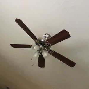 Meet your Posher, Ann